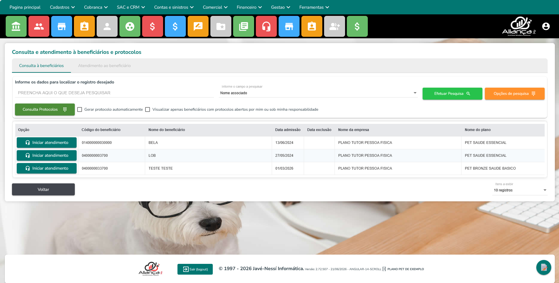 Consulta de atendimentos
